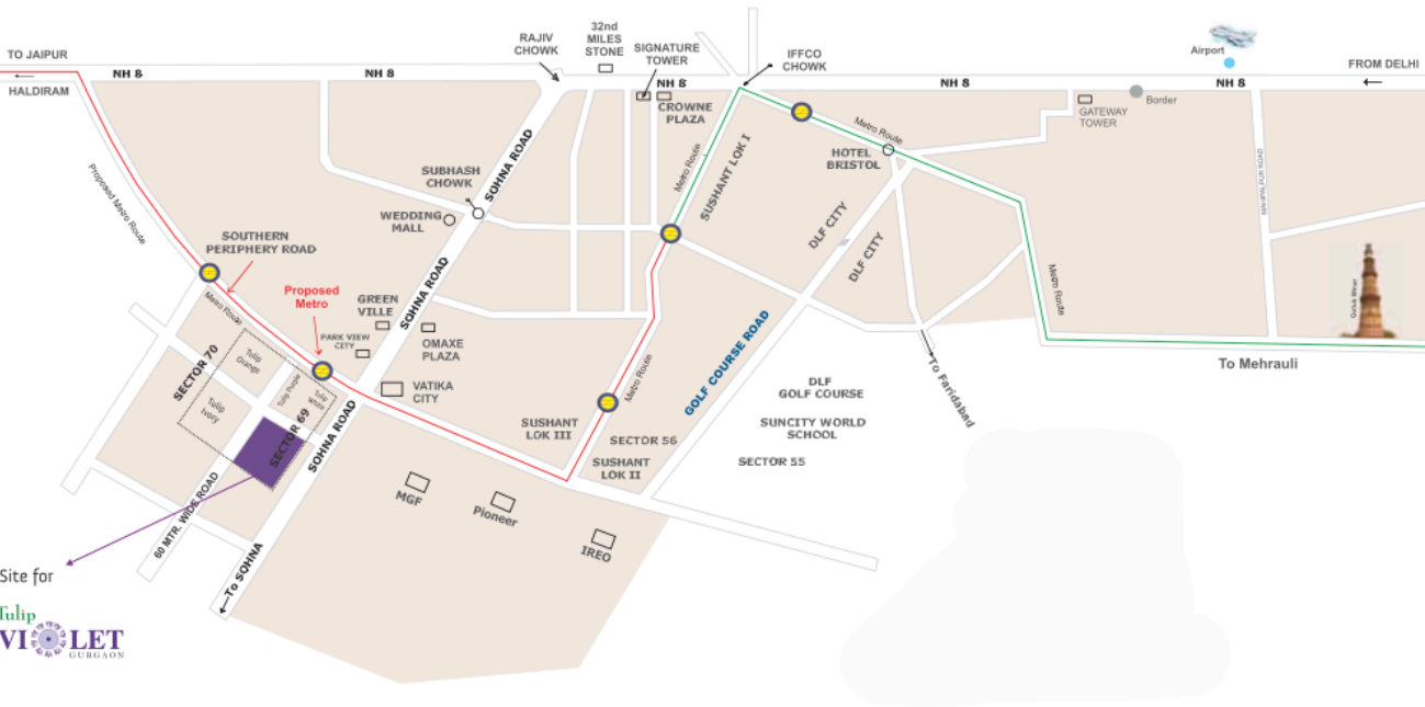 Tulip Violet Location